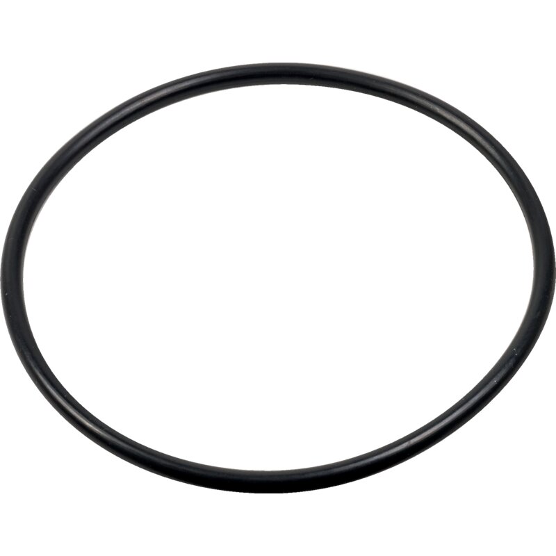 O-Ring 1-33-741-791