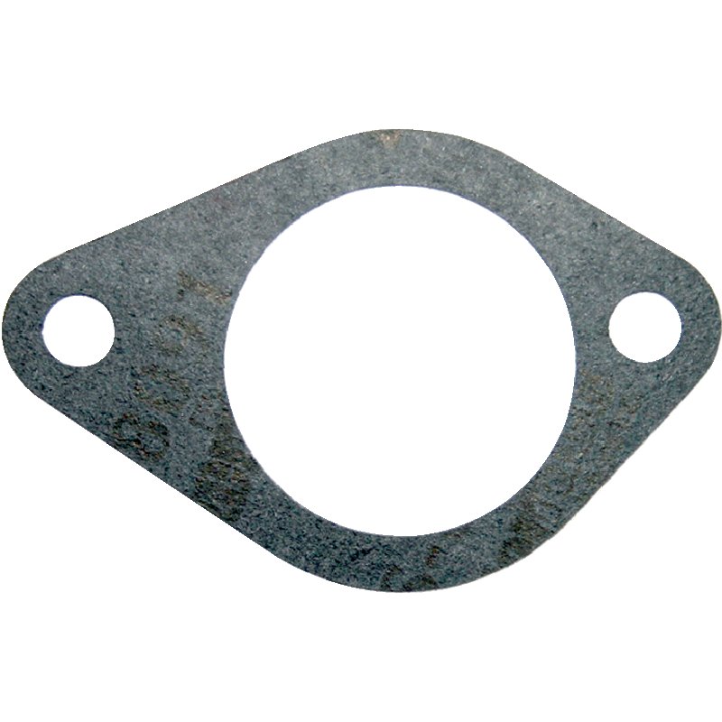Flanschdichtung anstelle von Steyr 132000060720