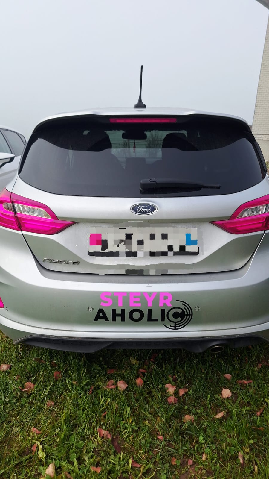 Steyraholic Aufkleber pink