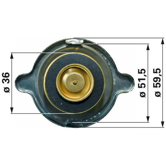 Kühlerverschluss anstelle von Case IH 3134146R1