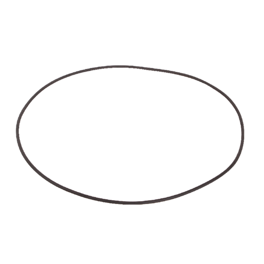 O-Ring 253,59 x 3,53 mm anstelle von CNH 85808262
