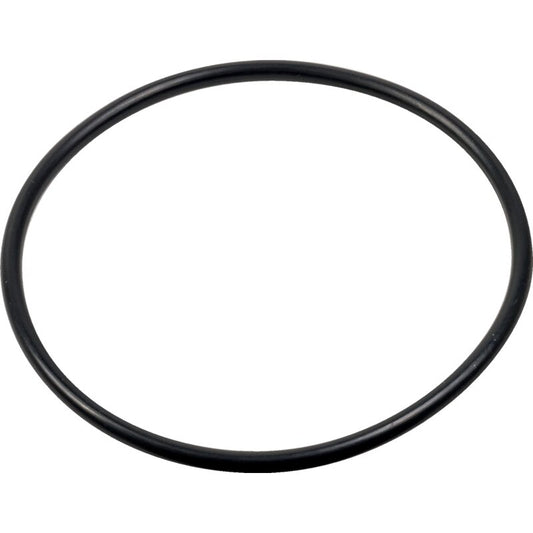 O-Ring 1-33-741-791