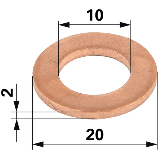 Düsenring 20 x 10 x 2 mm anstelle von CNH 84246299