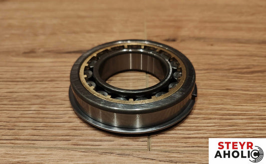 CNH Zylinderrollenlager mit Ring 190003320003