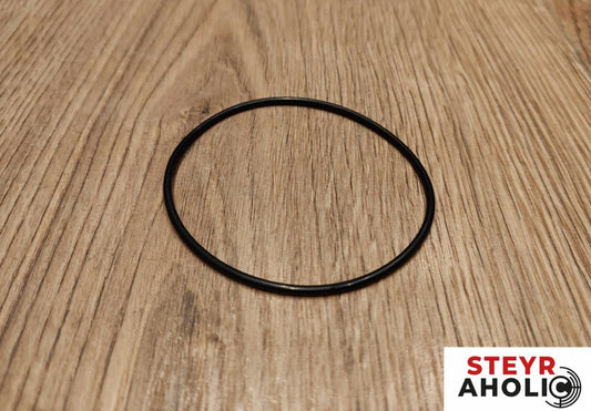 ZF O-Ring 192200280704