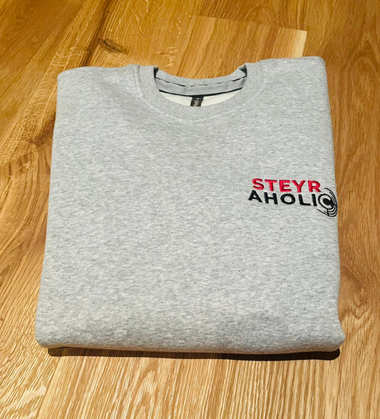 Steyraholic Pullover